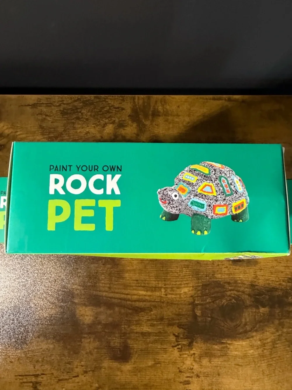 Rock Pet Craft Set. NWT - Picture 2 of 4
